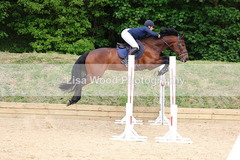 3E7A7903 - Class 8: Senior Foxhunter/1.20 open