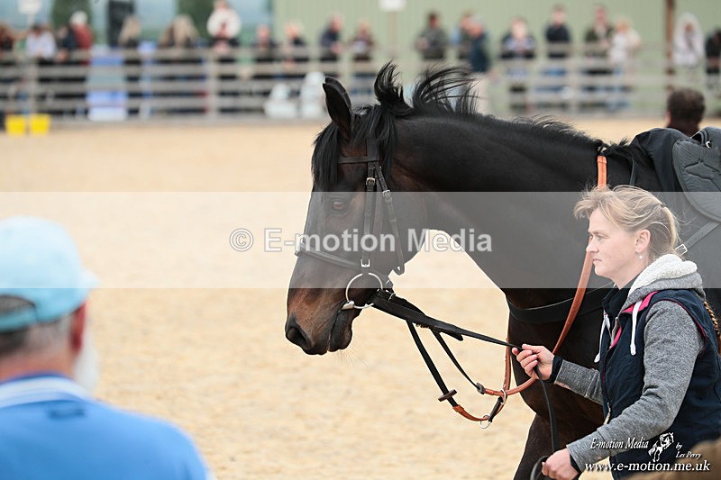 PtP 040526 172 - Mollington Point-to-Point 04/05/26