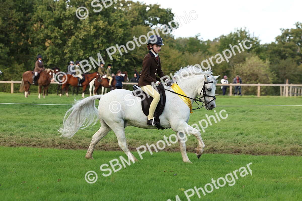 SBM_46346 - Working Hunter Pony Supreme Championship