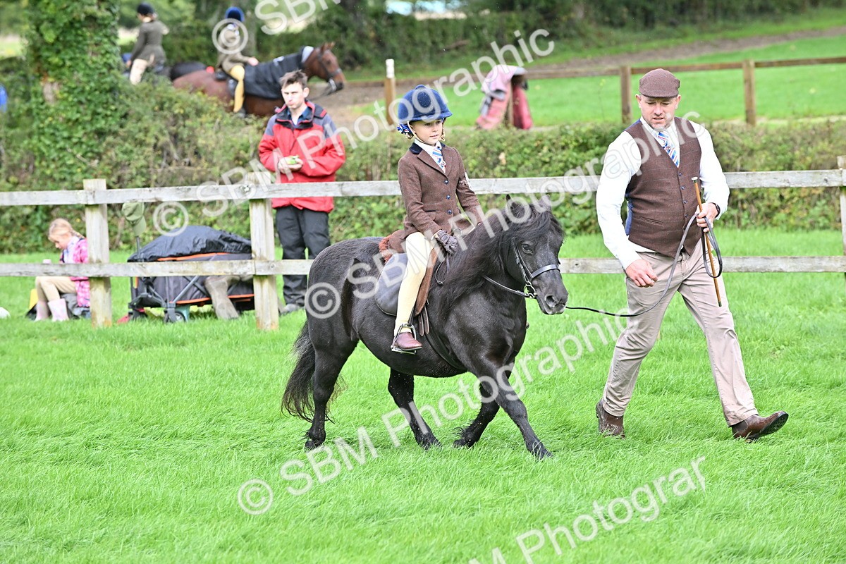SBM_40144 - S20 - Lead Rein Mountain & Moorland Pony