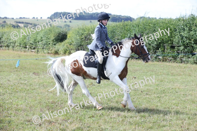 20250831-2479 - Class 16 - Family Pony