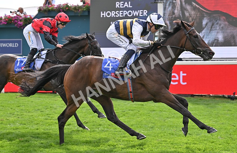 190826-193 Small Fry - Race 5 16.10pm Sky Bet Stayers Handicap
