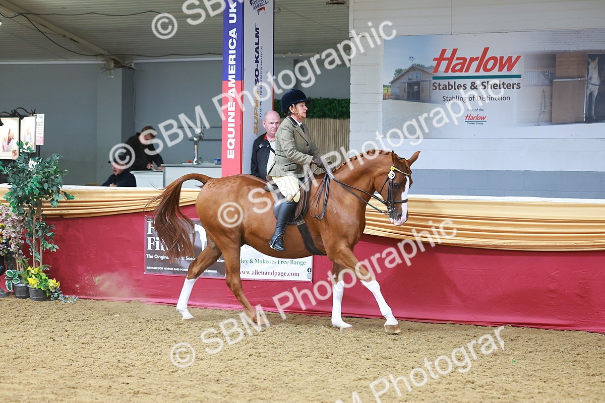 SBM_06010 - Class 12R - Ridden Pre-Vet