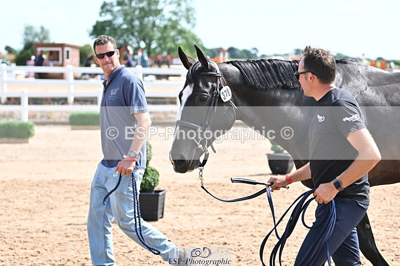 240717A-151438-02675 - Trot Up 3pm to 4pm