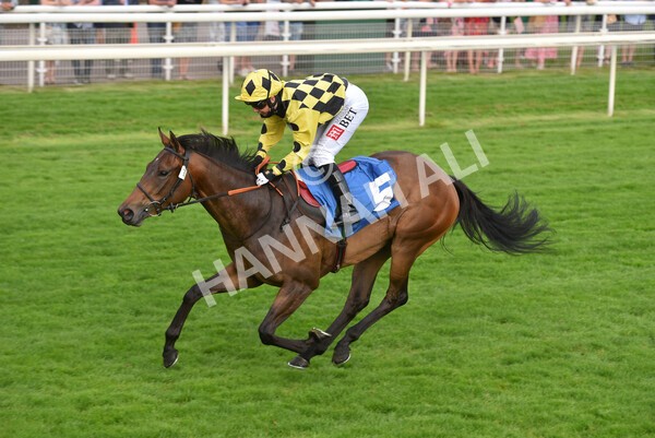 yr23072021r3-33 - Race 3 7.00pm The JKH 80th Birthday Celebration EBF Novice Median Auction Stakes (Plus 10 Race)