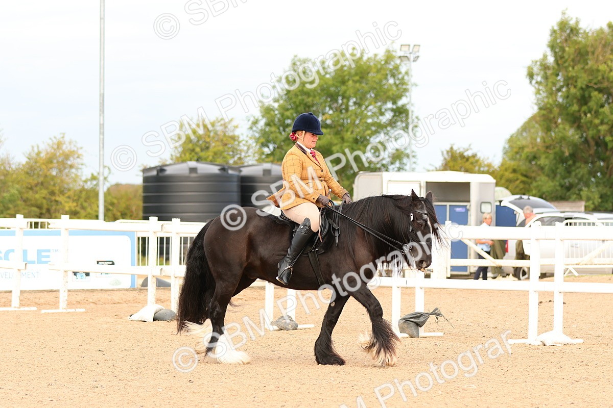 SBM_18186