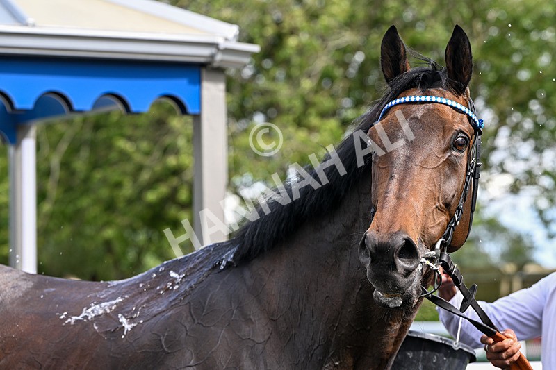 040726-Race 4-Al Aasy-4621 - Race 4 16.02pm Charlie Wood Stakes