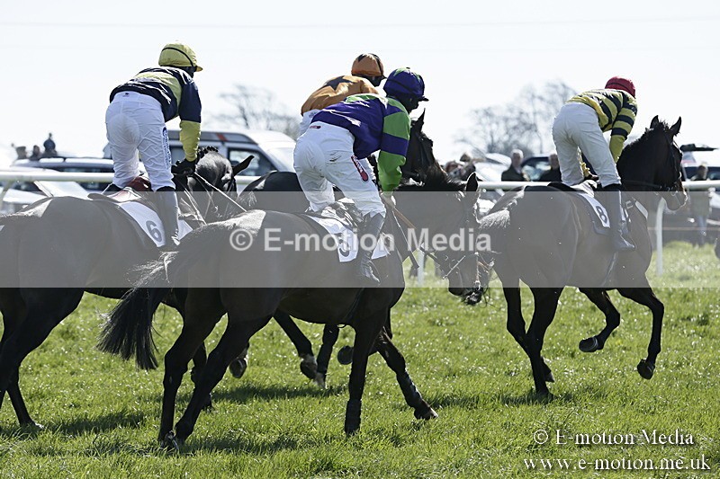PtP 260317 44 - Mendip Farmers Point-to-Point Ston Easton 26/03/17