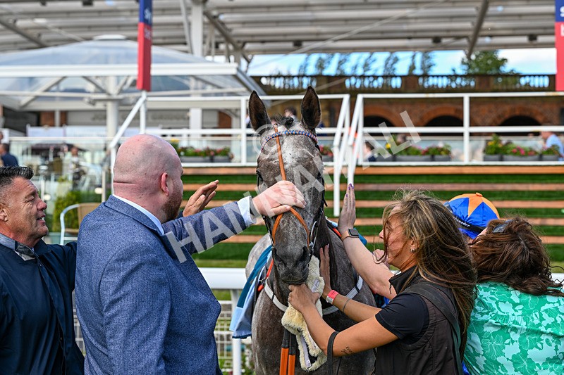 120626-Race 7-Say What You See-8589 - Race 7 17.18pm Event Traffic Control Handicap