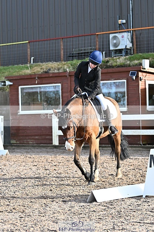 250125-104234-00223 - Dressage - CT Class 4 BE95 (80cm)