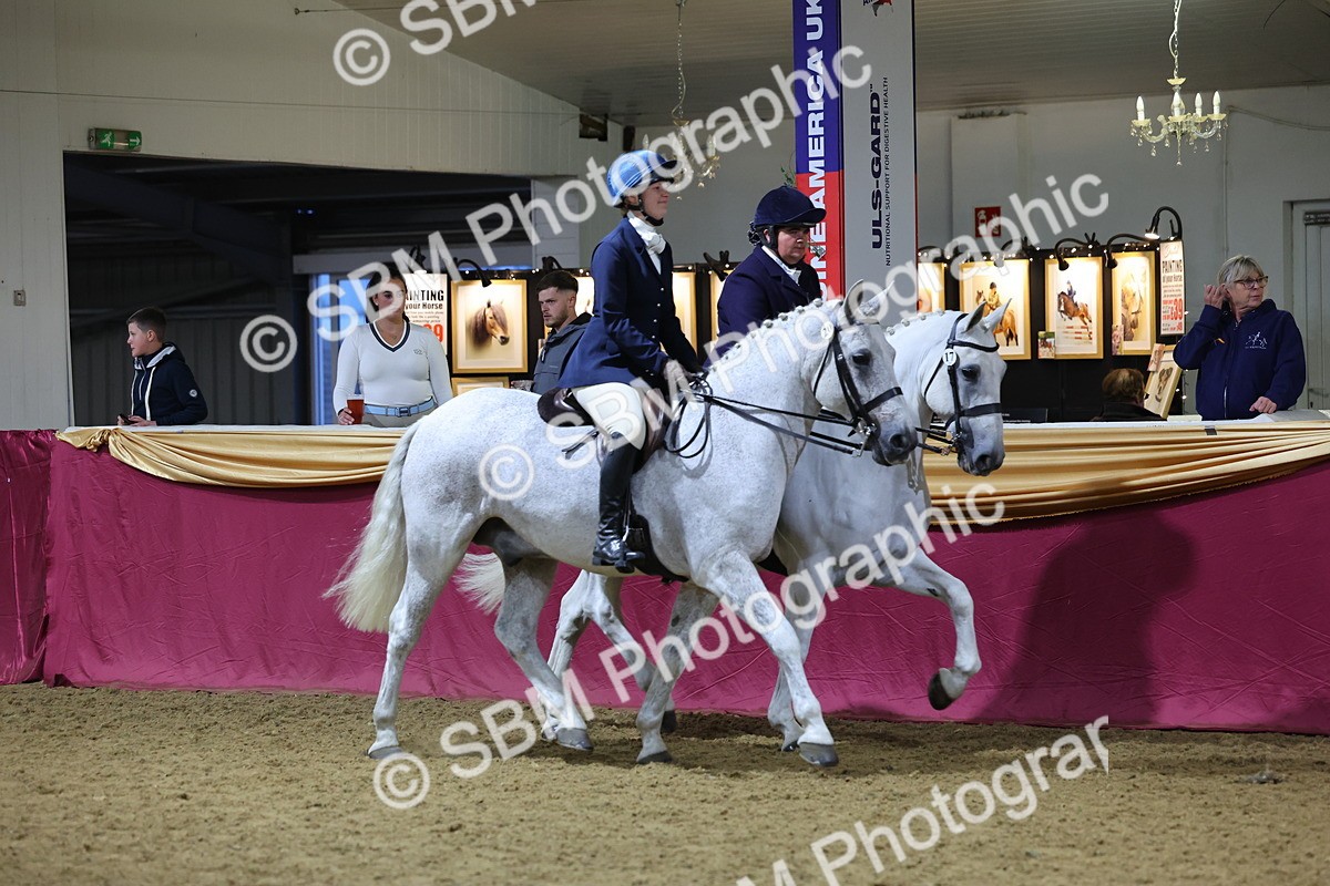 0B8A4321 - Class M Ridden Pairs Champ