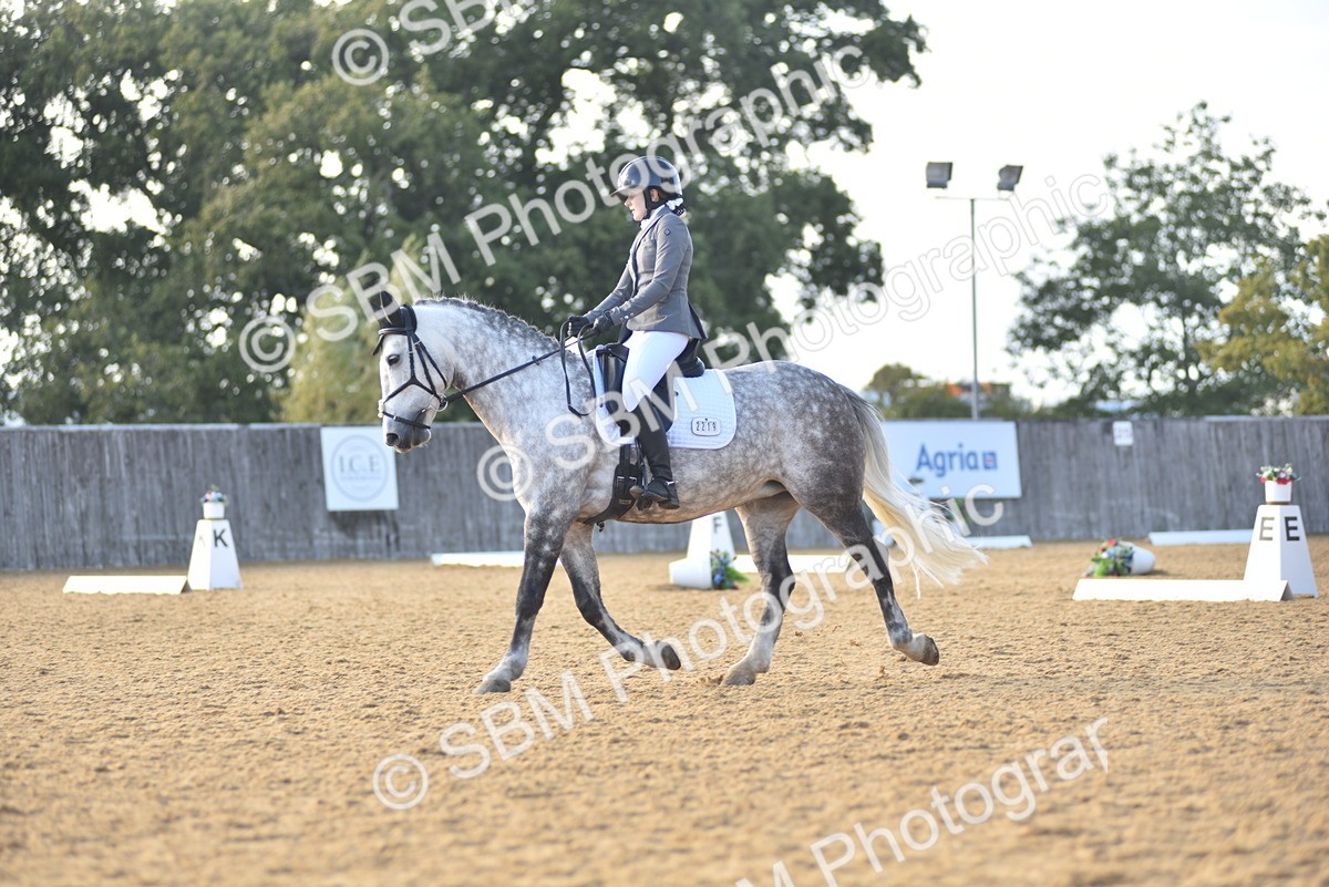 SBM_29734 - D16 -Small Tour Championship Novice 2