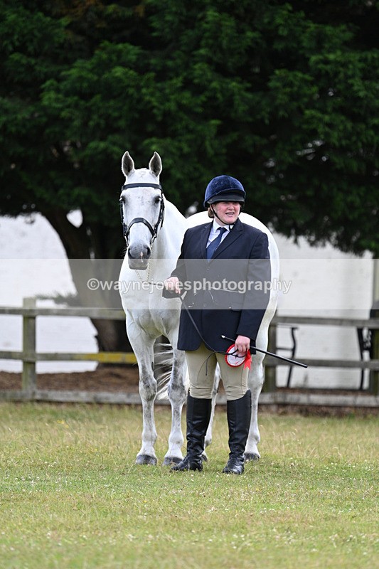 WJ7_7167 - Class 5a Most Handsome Gelding in Hand