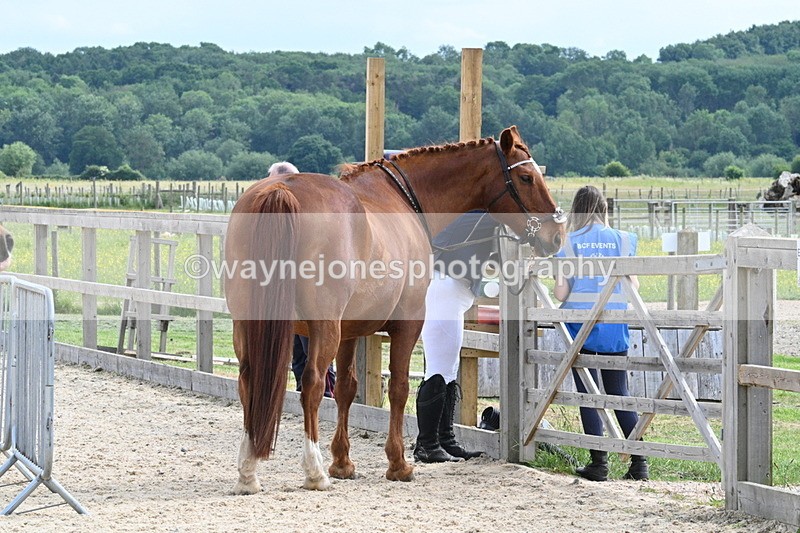 WJ7_7957 - Time 15:39 to 16:08