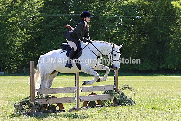 IMG_3972 - Working Hunter