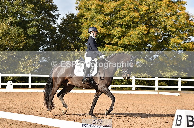 231104A-111148-01482 - Cls 5 Novice 37A