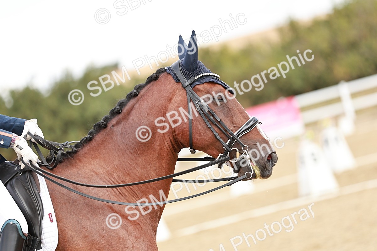 SBM_009505 - Class 11 - AM6