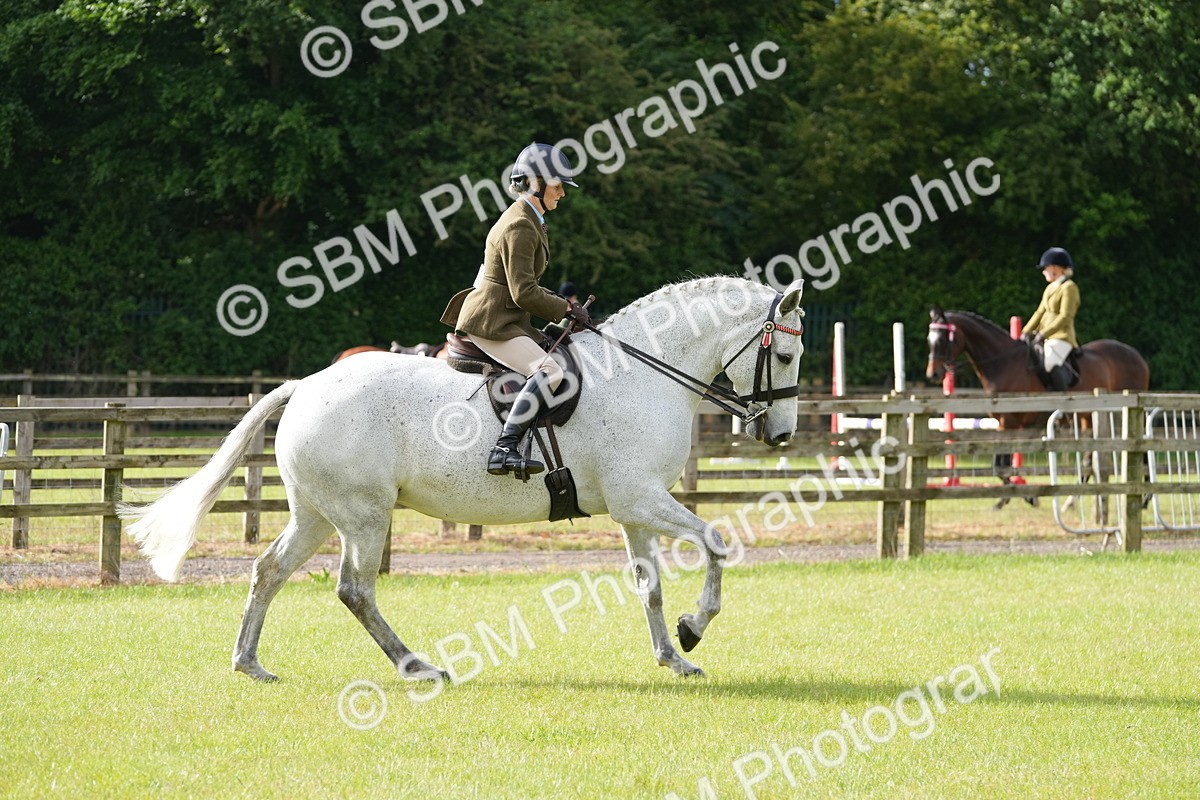 SBM_10583 - Class 97-98 - LIHS BSHA Rising Star Working Show Horse Hunter