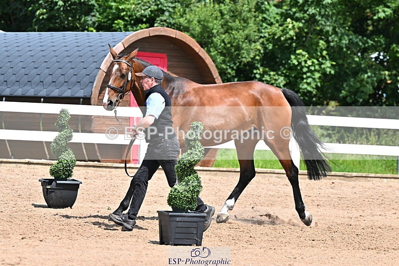 240718A-105300-01443 - Trot Up 12pm to 1pm