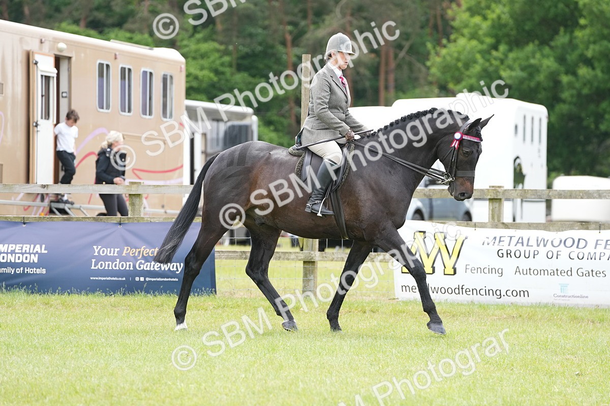 SBM_16146 - Class 105-106 - RIHS Riding Horses