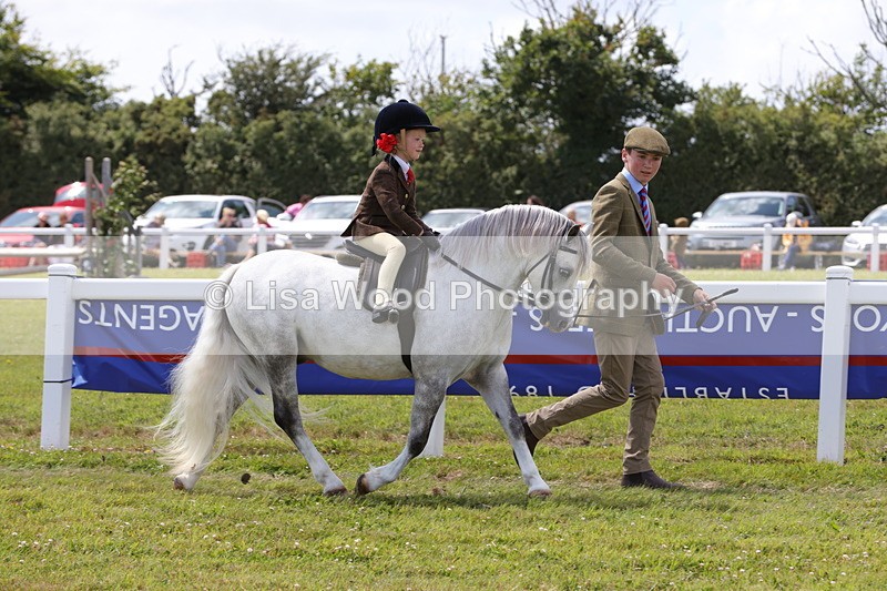 1X9A5096 - Class 36: NPS M&M Lead Rein