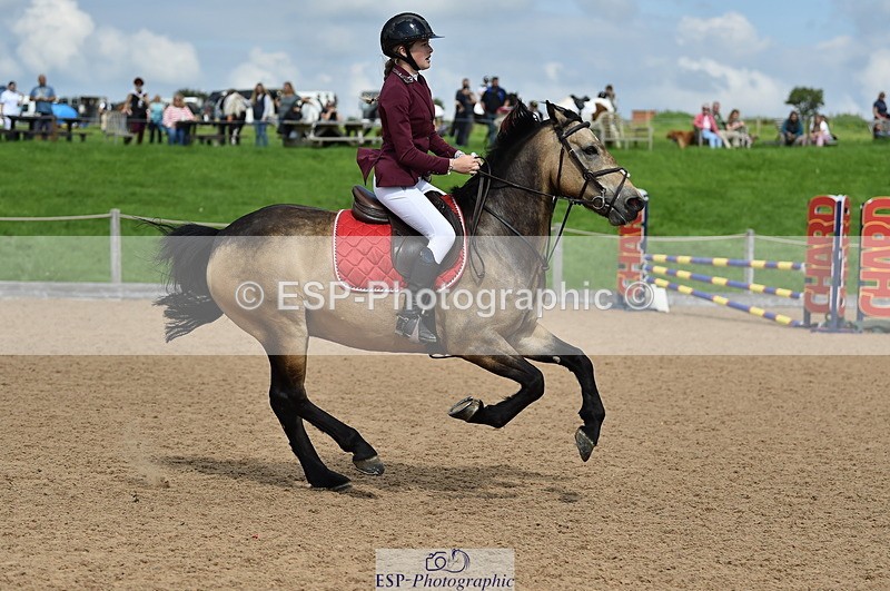 230902A-142102-01709 - Cls 3B Pony Medium 90cm