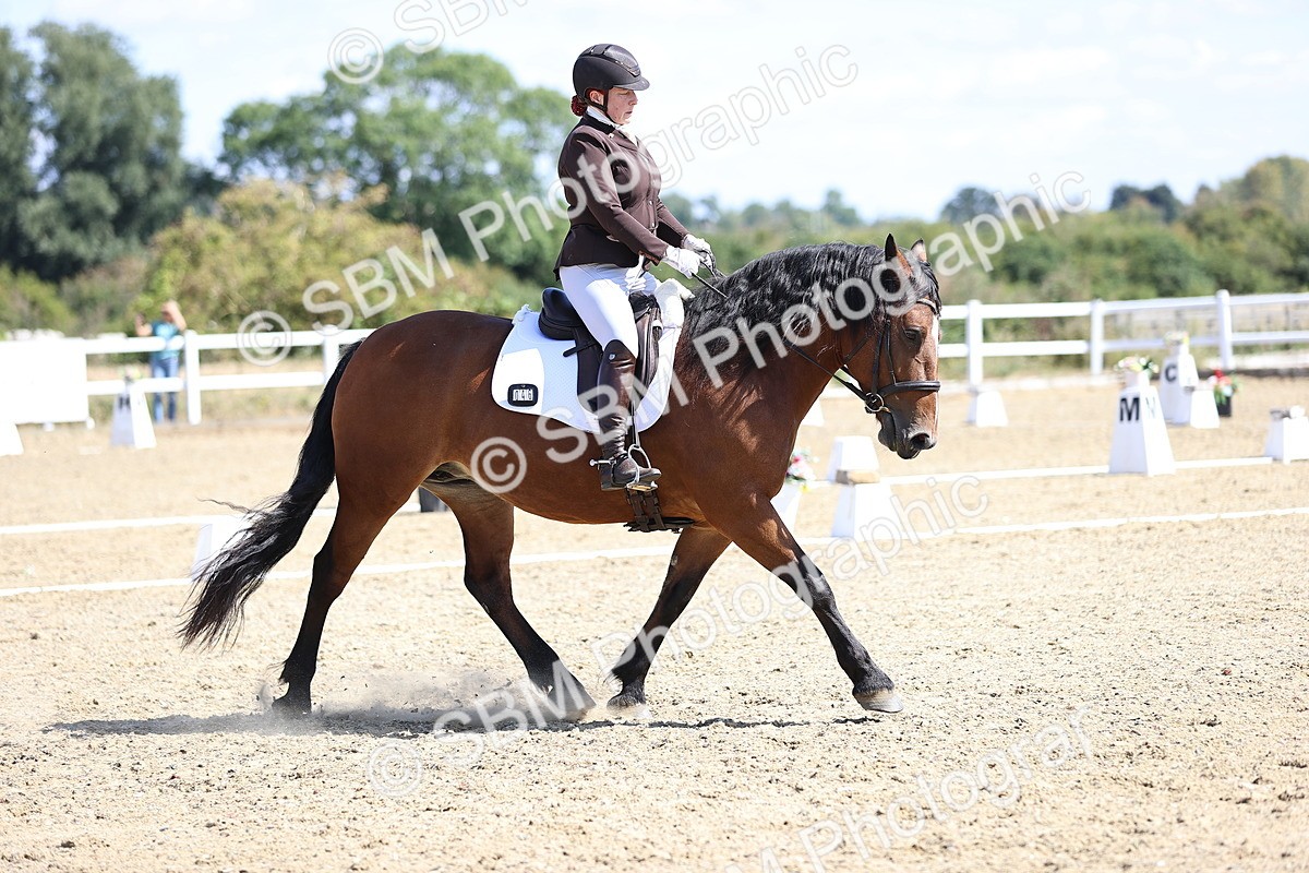 SBM_013959
