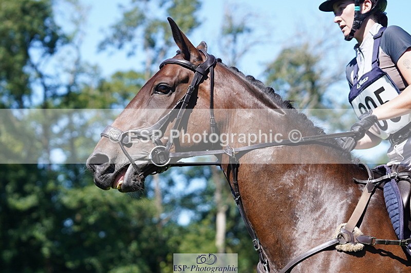 240811A-150522-04970 - 305-