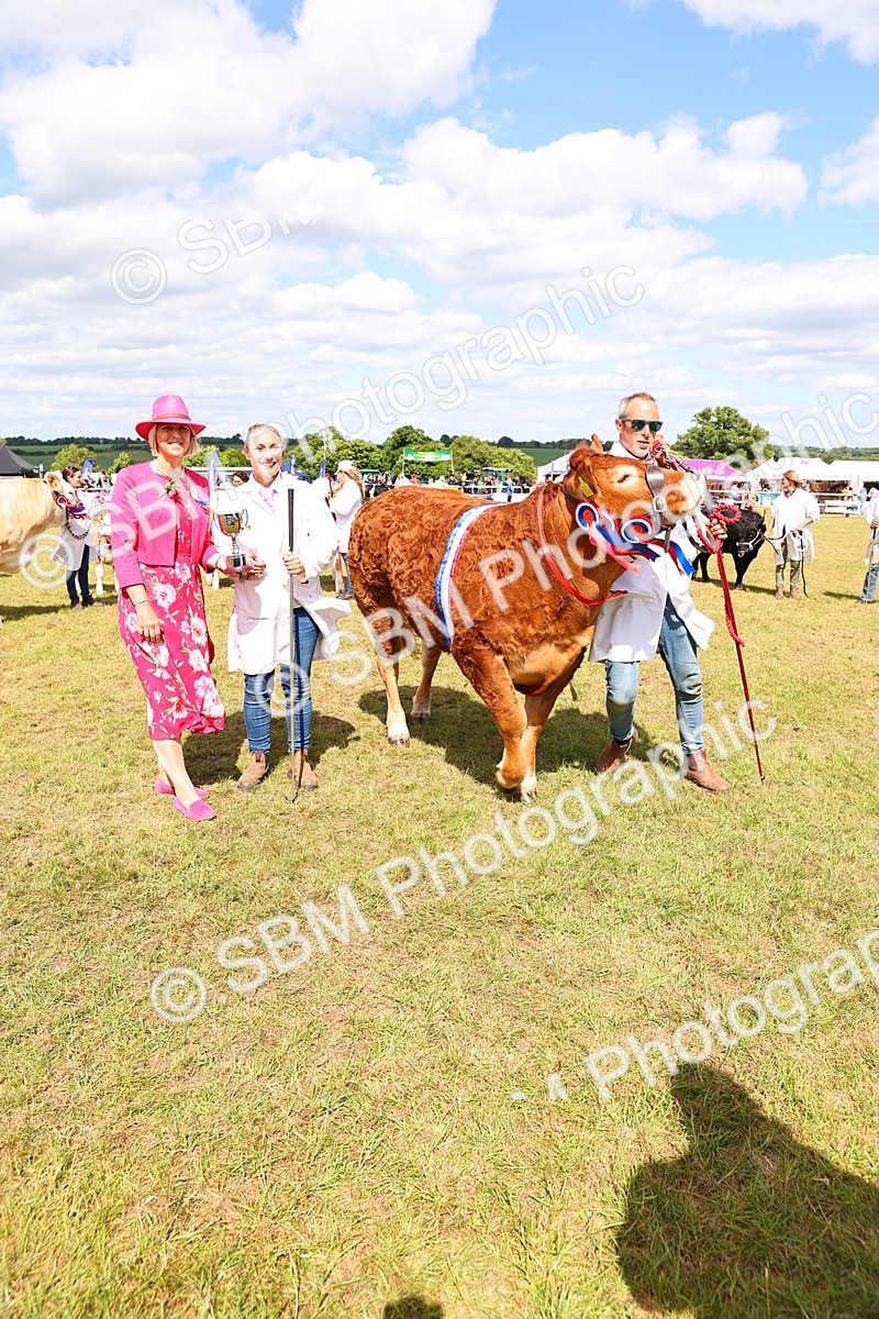 SBM_17023 - Grand Parade