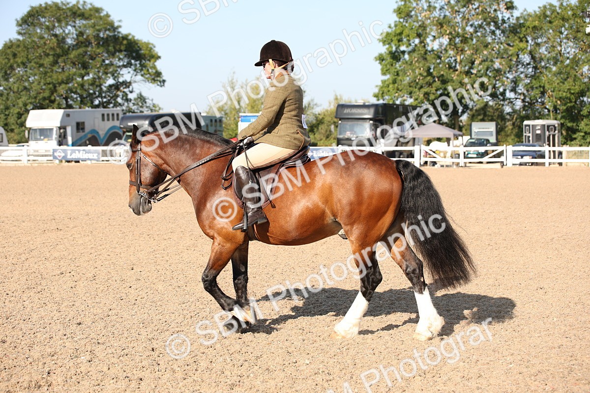 SBM_00721 - Class 14 Ridden M&M Wildcard