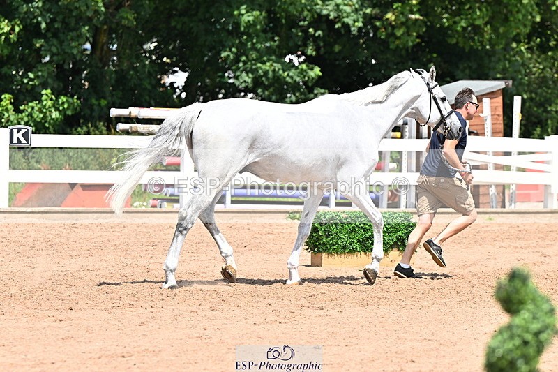 240718A-105318-01815 - Trot Up 1pm to 2pm