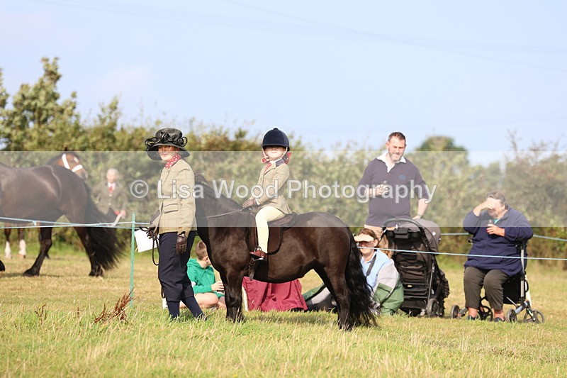 3E7A3692 - Class 2: Lead rein