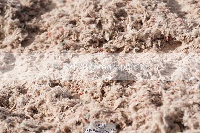 250505-094132-04139 - Cls 12 Stepping Stones