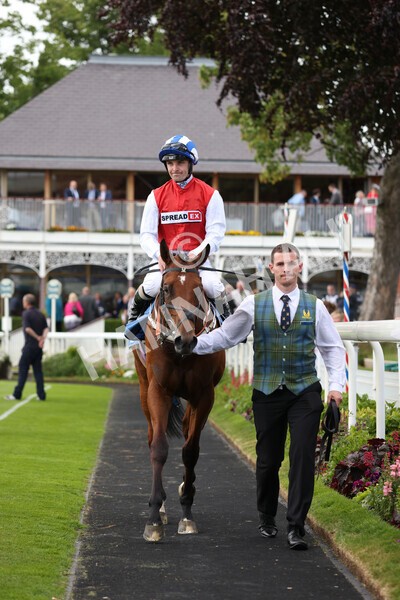 yr10062022r2-34 - Race 2 2.30pm SKF Rous Selling Stakes