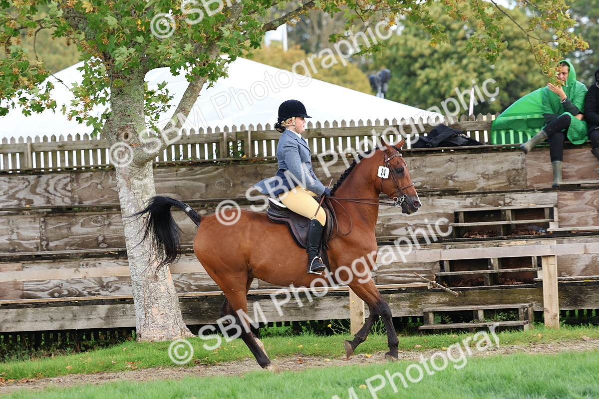 SBM_47643 - S28 - Veteran Ridden