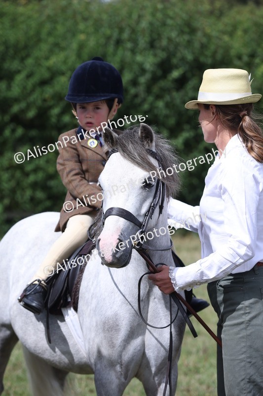 20250831-2749 - Class 17 - Lead Rein Pony