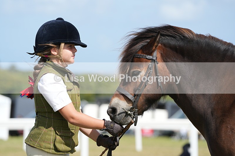 DSC07619 - Class 62: Child Handler