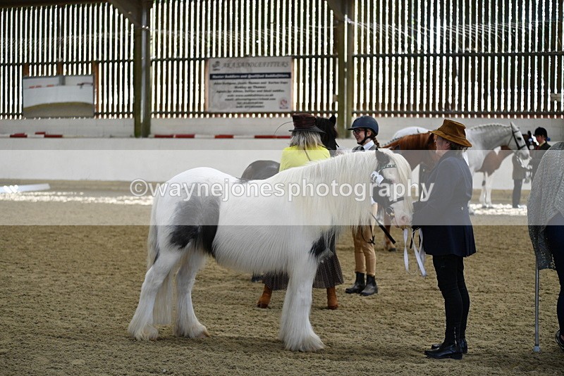 WJ5_4004 - Class 2 Best Condition In hand