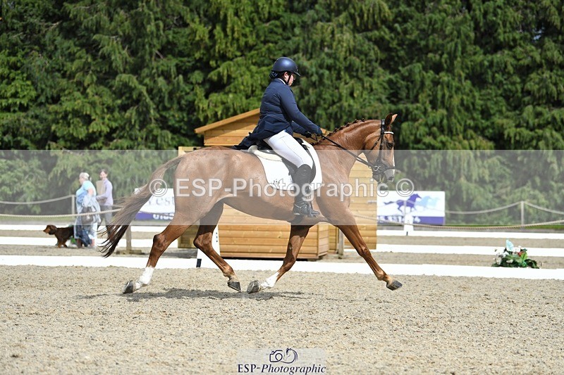 230812-154234-05185 - Cls 10 FEI Inter I Silver