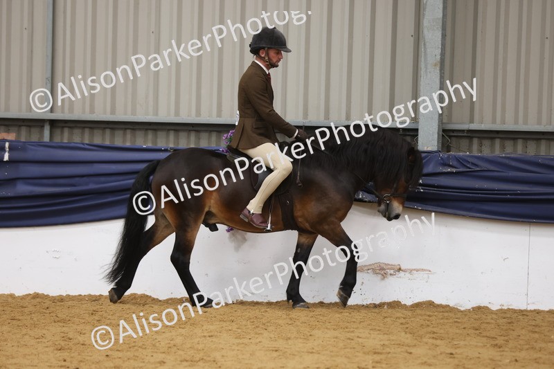 20260913-0598 - Class 126 - Novice Ridden