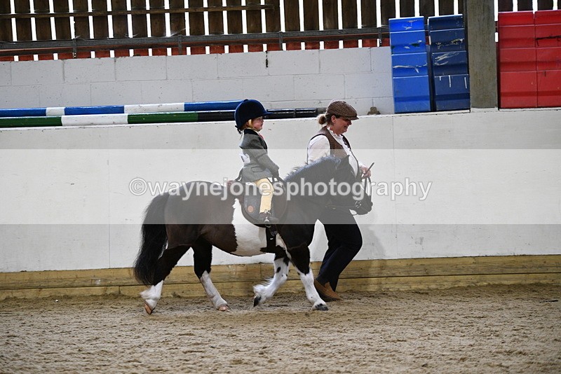WJ5_6581 - Class 10 Childs Pony