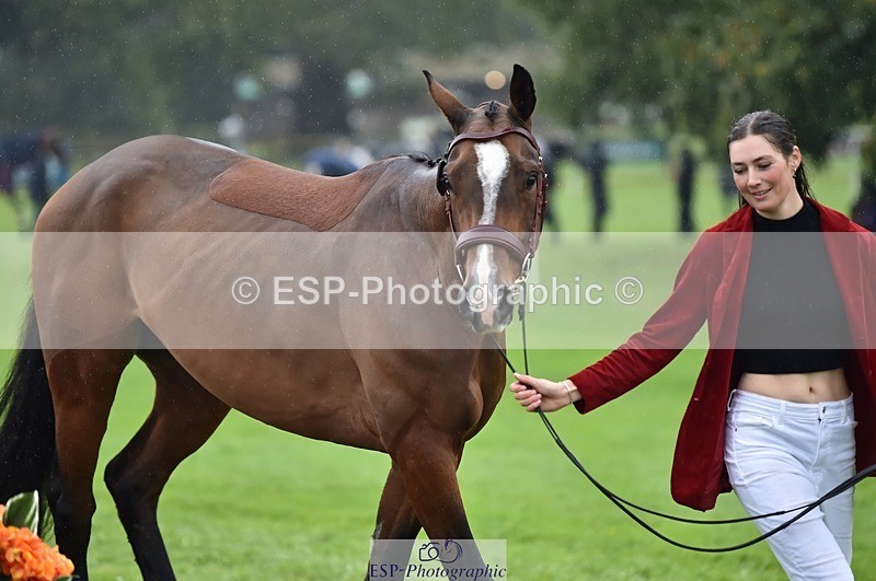 231018-121500-00164 - 065-SIR.HENRY.HALL-Jess.Rimmer-TrotUp