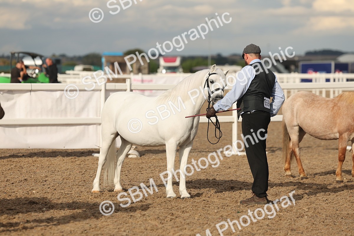 SBM_08579 - Class 29 - IH Veteran Pony