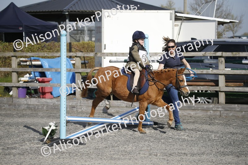 20250412-0181 - Show Jumping