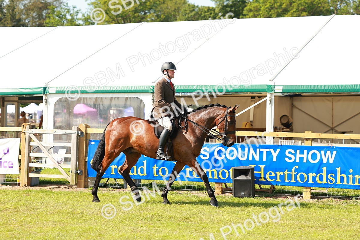 SBM_12009 - Class 66-69 - RIHS Ridden Hunters Inc Small Hunter