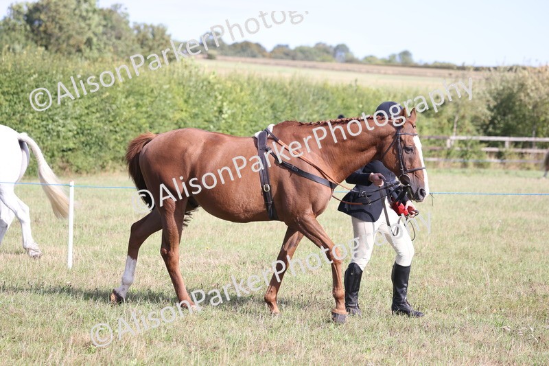 20260906-0658 - Class 22 - Ex Racehorse