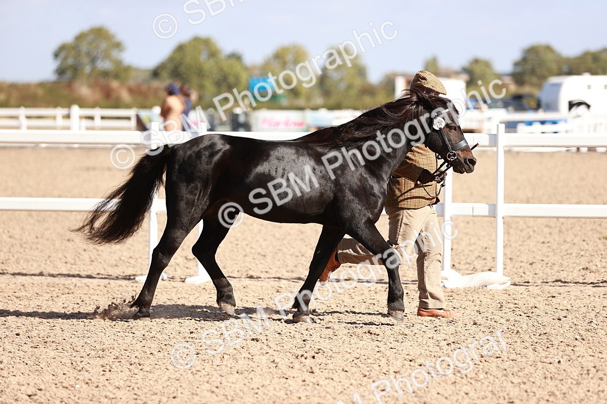 SBM_22782 - Class 705 - IH Combination 65+
