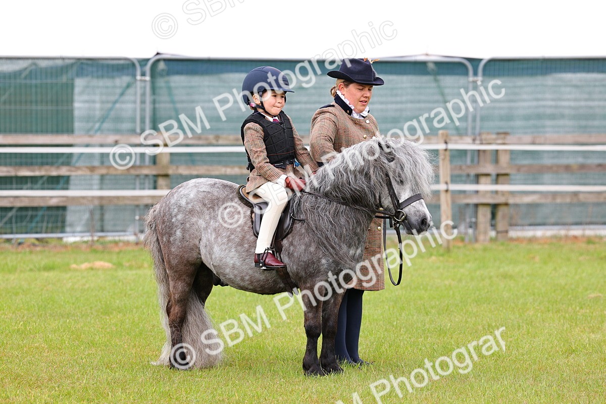 SBM_08120 - Class 42-43 - LIHS BSPS Heritage Working Sports Pony
