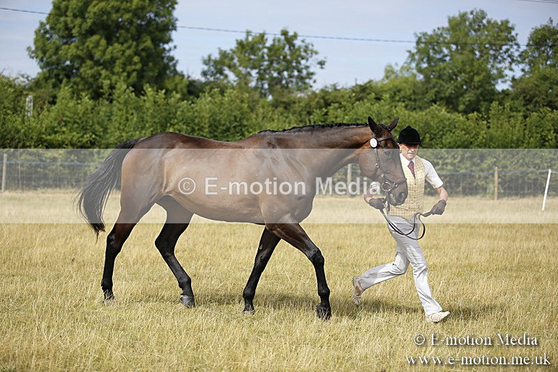 _C7A9355 - BVRC Sow 2018 Ring 2