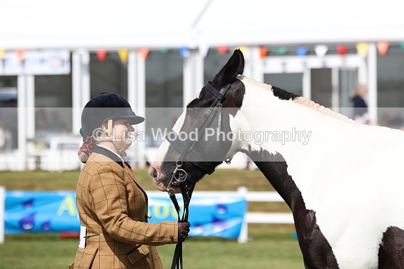 3E7A0049 - Class 5: Rising Star Lightweight/Heavyweight Cobs